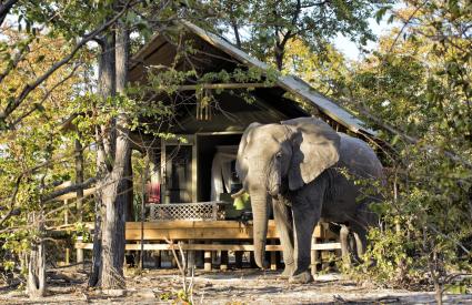 Elephant Pan Camp