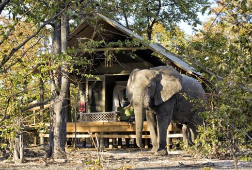 Elephant Pan Camp