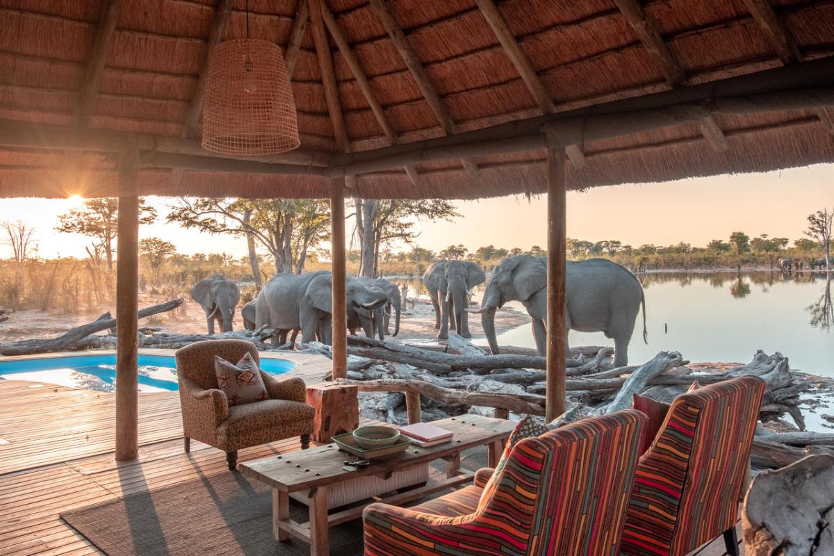 Cedarberg Travel | Elephant Pan Camp