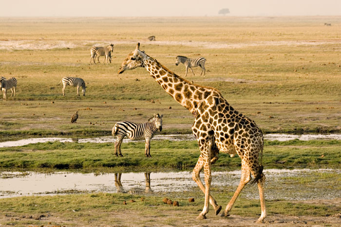 Cedarberg Travel | Kavango Adventure Safari