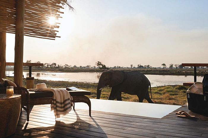 Elephant at your pool