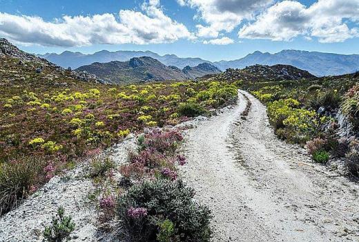 Slack-packing Trails