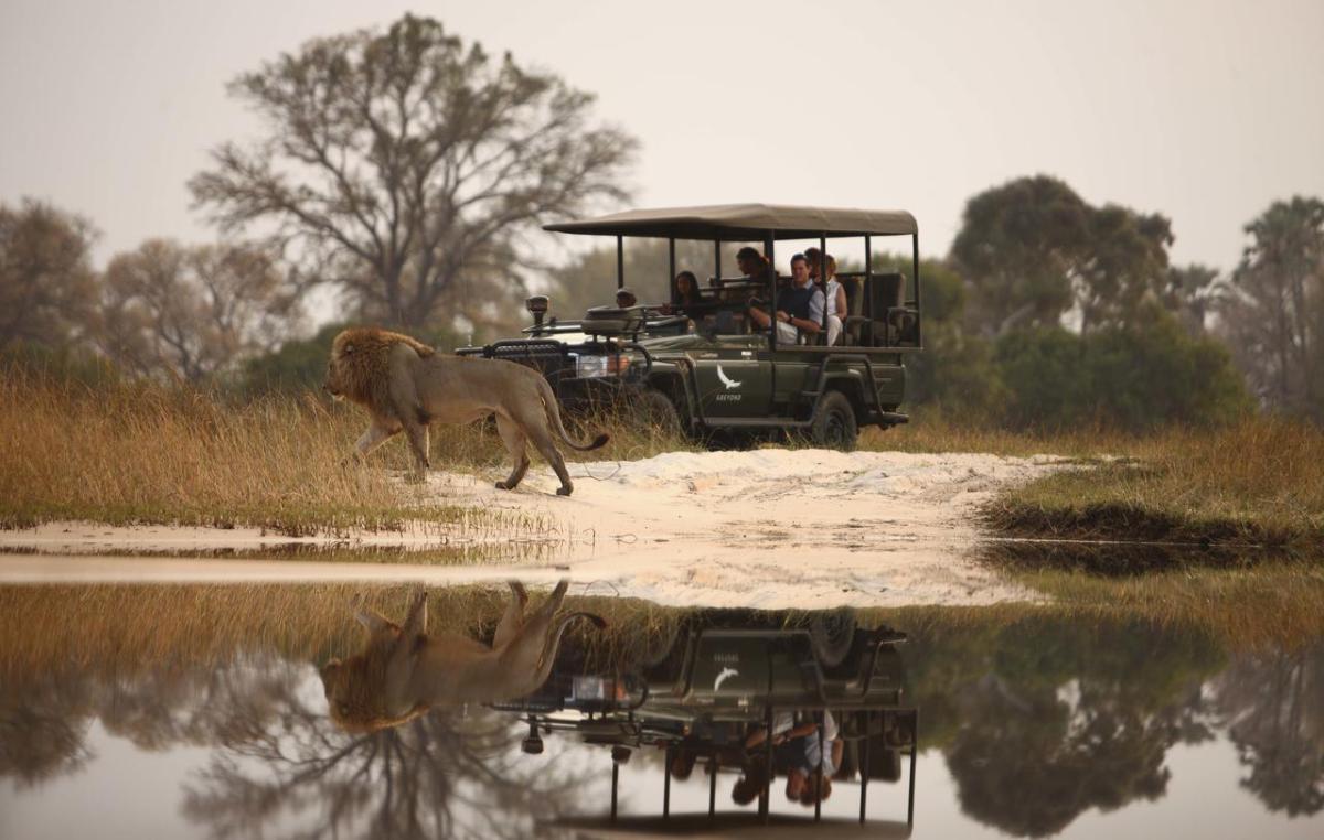 Cedarberg Travel | andBeyond Sandibe Okavango Safari Lodge