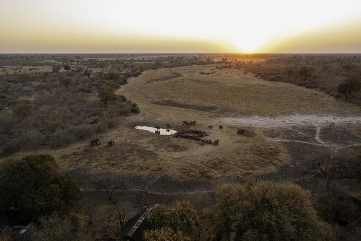 Cedarberg Travel | Savuti Camp