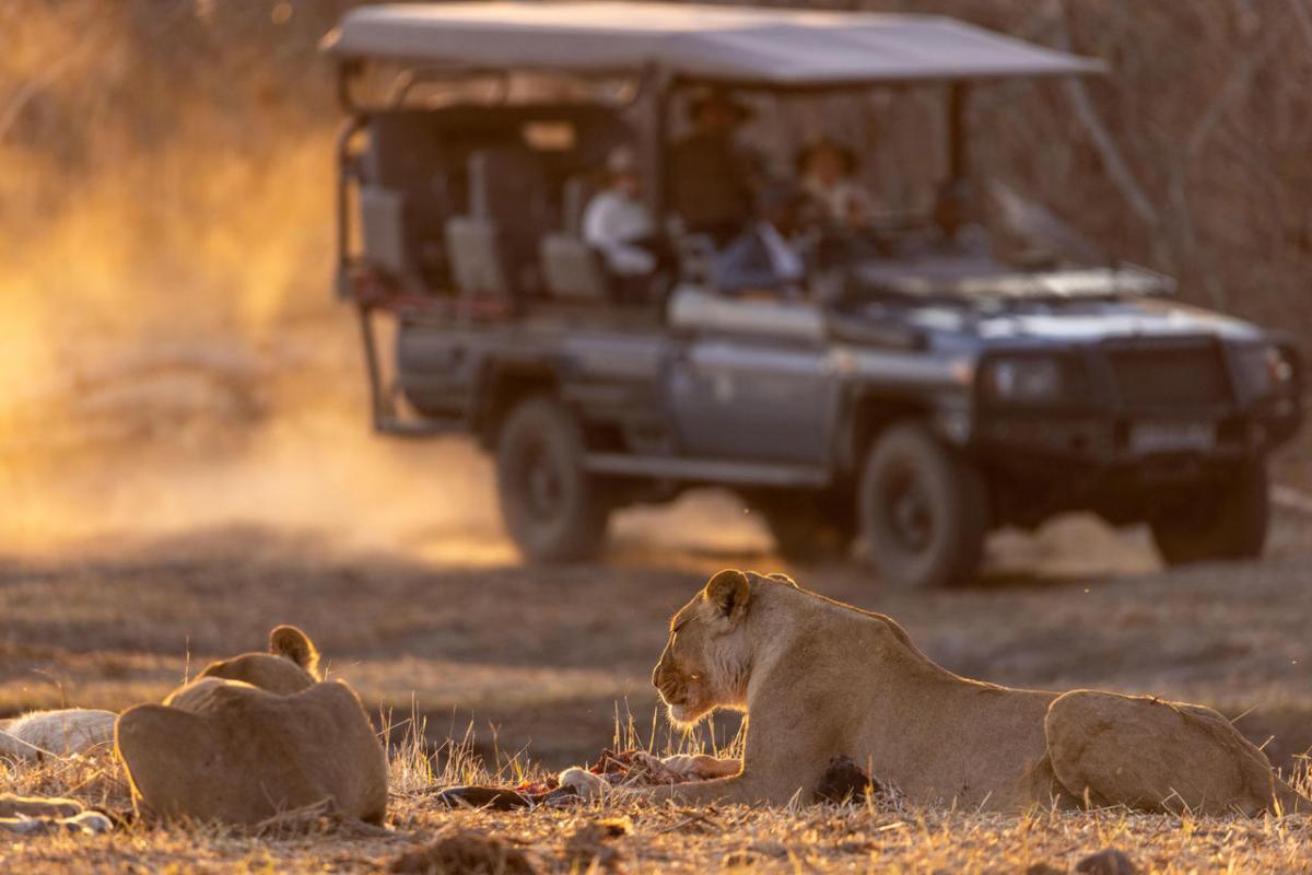 Cedarberg Travel | Savuti Camp