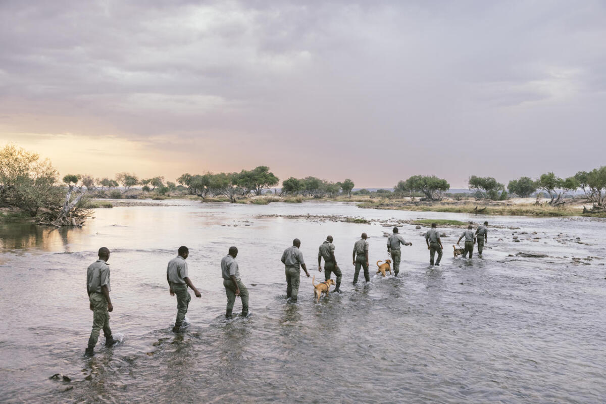 Cedarberg Travel | Matetsi Water Lodge