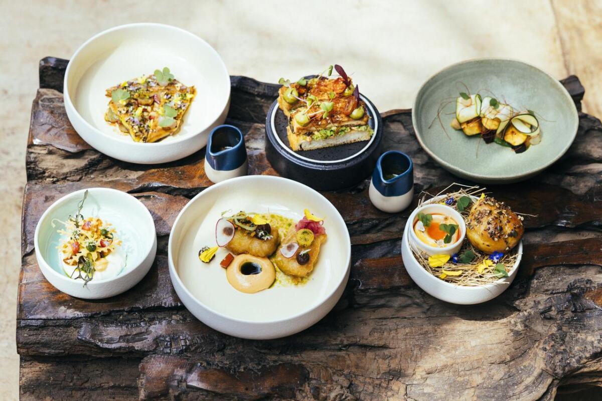 Cedarberg Travel | Matetsi Water Lodge