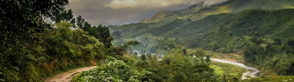 Madagascar tour packages, eastern rainforest of Masoala