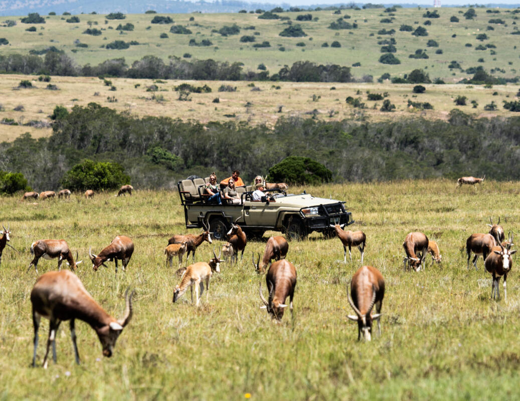 Cedarberg Travel | Lalibela Inzolo lodge