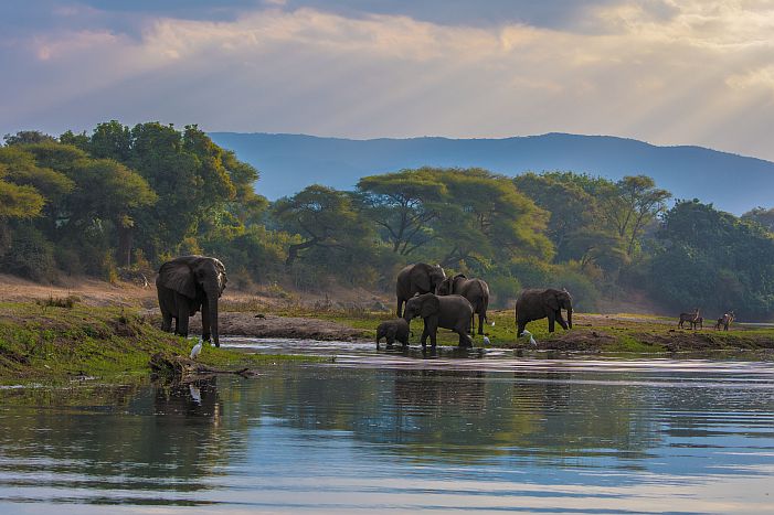 Lower zambezi safari scenery