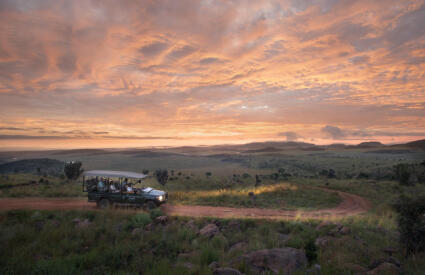 The Best Graduation Gift? A Passport to Africaβs Wild Side