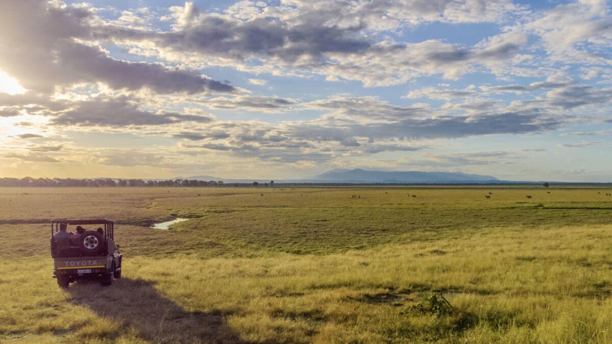 Cedarberg Travel | Gorongosa Chicari Camp