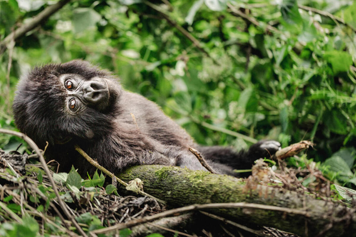 Cedarberg Travel | Erebero Hills