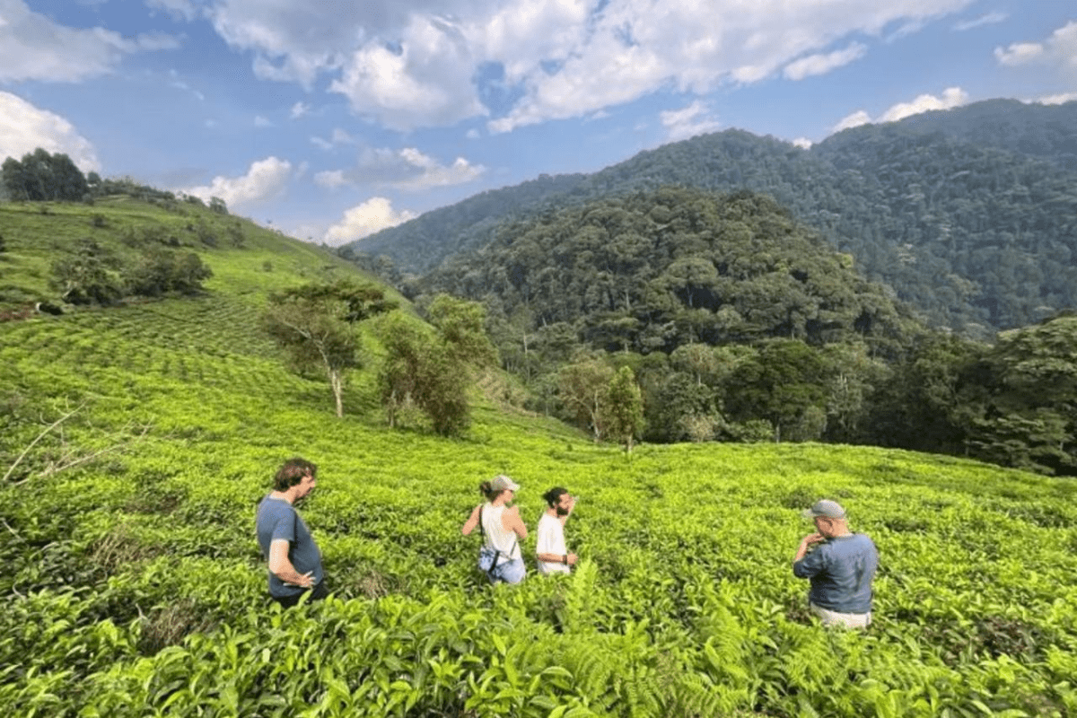 Cedarberg Travel | Erebero Hills