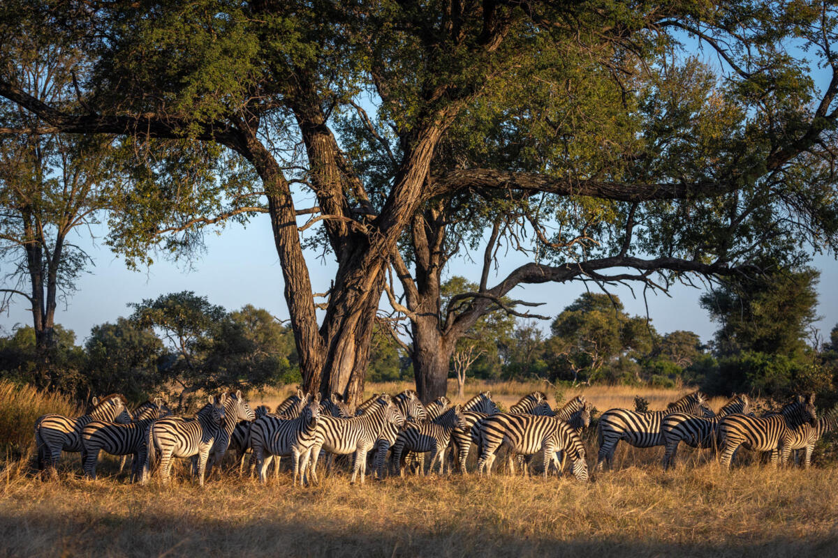 Cedarberg Travel | Maxa Camp