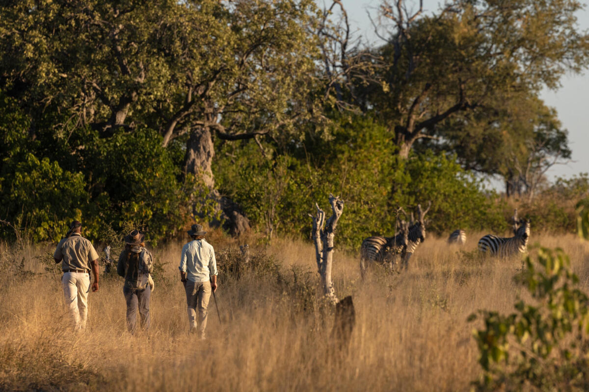 Cedarberg Travel | Maxa Camp