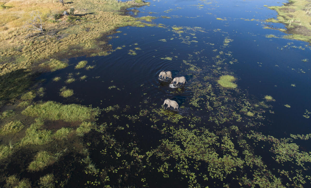 Cedarberg Travel | Maxa Camp