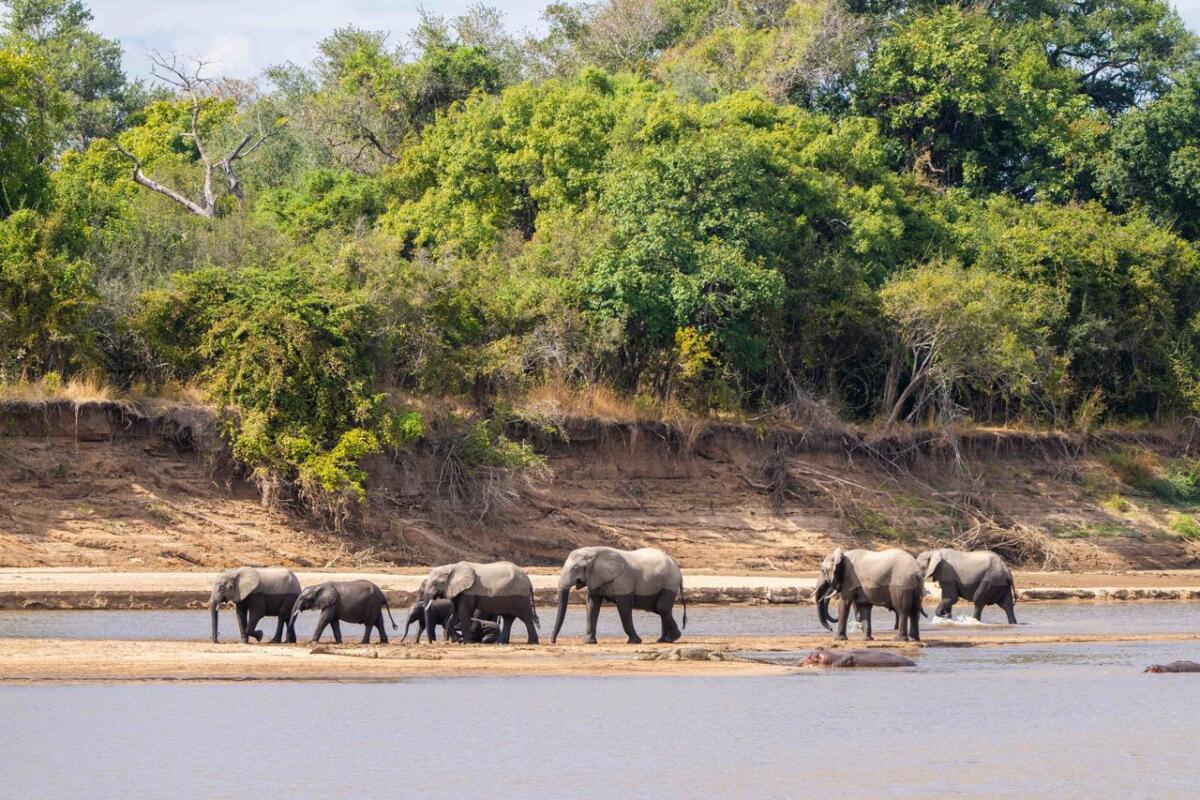 Cedarberg Travel | Mchenja Bush Camp