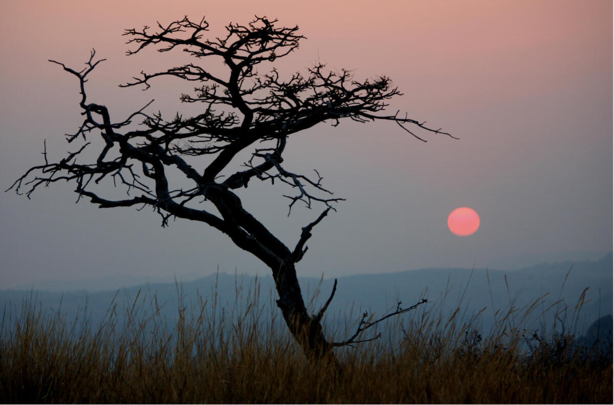 Cedarberg Travel | Big Cave Camp