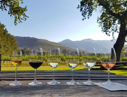 wine tasting in Cape Winelands