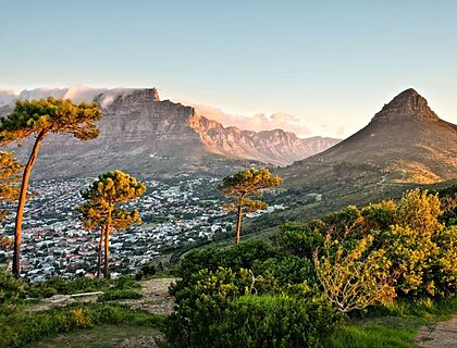 Cape Town City bowl with Lions Head