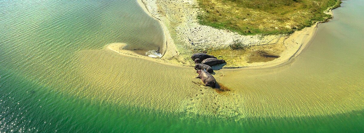 Hippos in Isimangaliso Wetlands Park