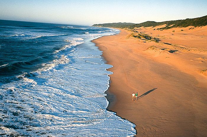 Beach on Coastal Maputaland