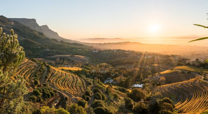 Hillside view of Constantia