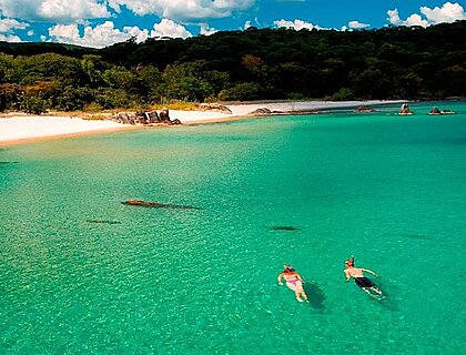 Lake Malawi holidays - snorkneling in clear waters 