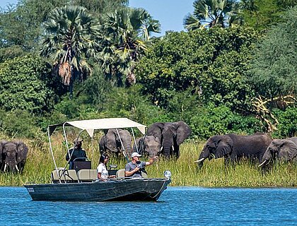 Boating safari in Liwonde Game Reserve at Kuthengo camp