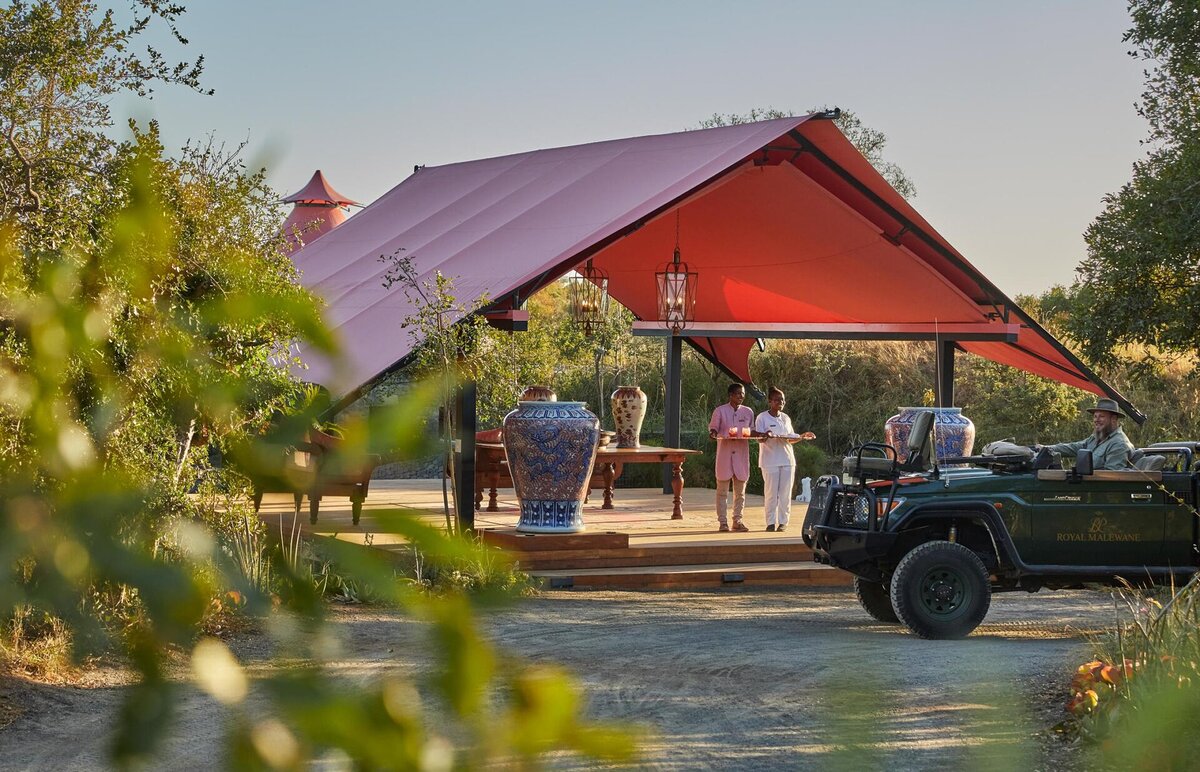Cedarberg Travel | Masiya's Camp at Royal Malewane