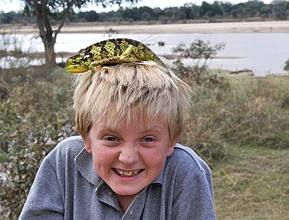 Family adventure safaris in Zambia - Ollie with a chameleon