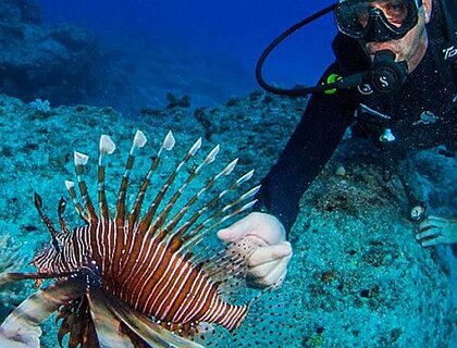 Mauritius north coast resorts - diving