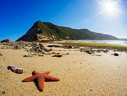 Garden Route beach, Gerricke Point