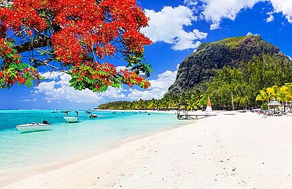 What are the best beaches in Mauritius?