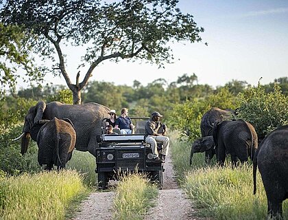 Game Drive at Simbavati River Lodge in Timbavati Game Reserve, Greater Kruger, Best Game Reserves in South Africa