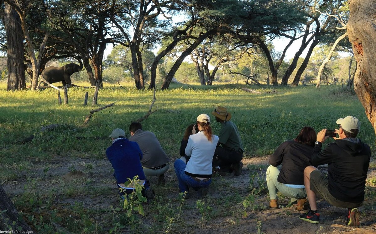 Cedarberg Travel | Tum Tum Treehouse Lodge