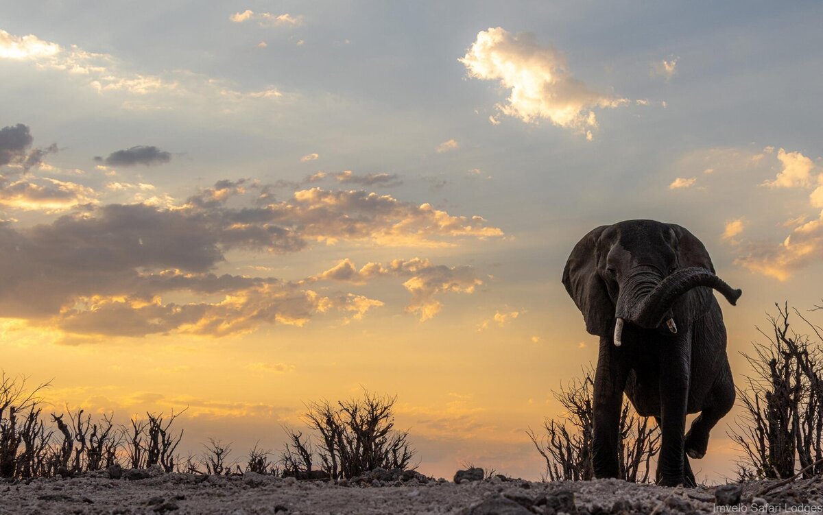 Cedarberg Travel | Tum Tum Treehouse Lodge