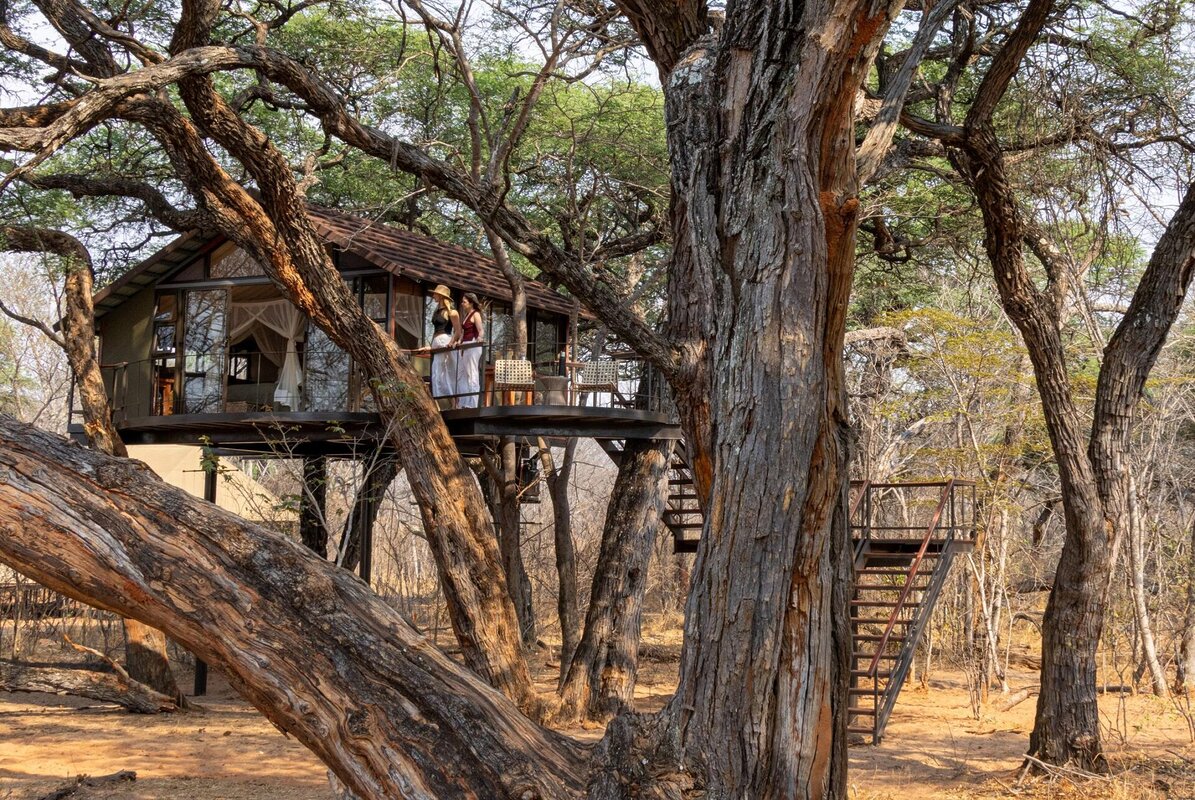 Cedarberg Travel | Tum Tum Treehouse Lodge