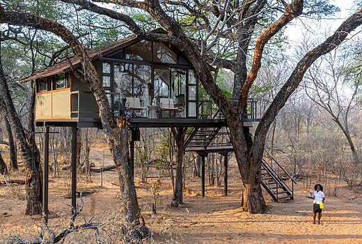 Tum Tum Treehouse Lodge