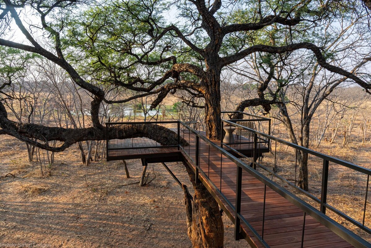 Cedarberg Travel | Tum Tum Treehouse Lodge