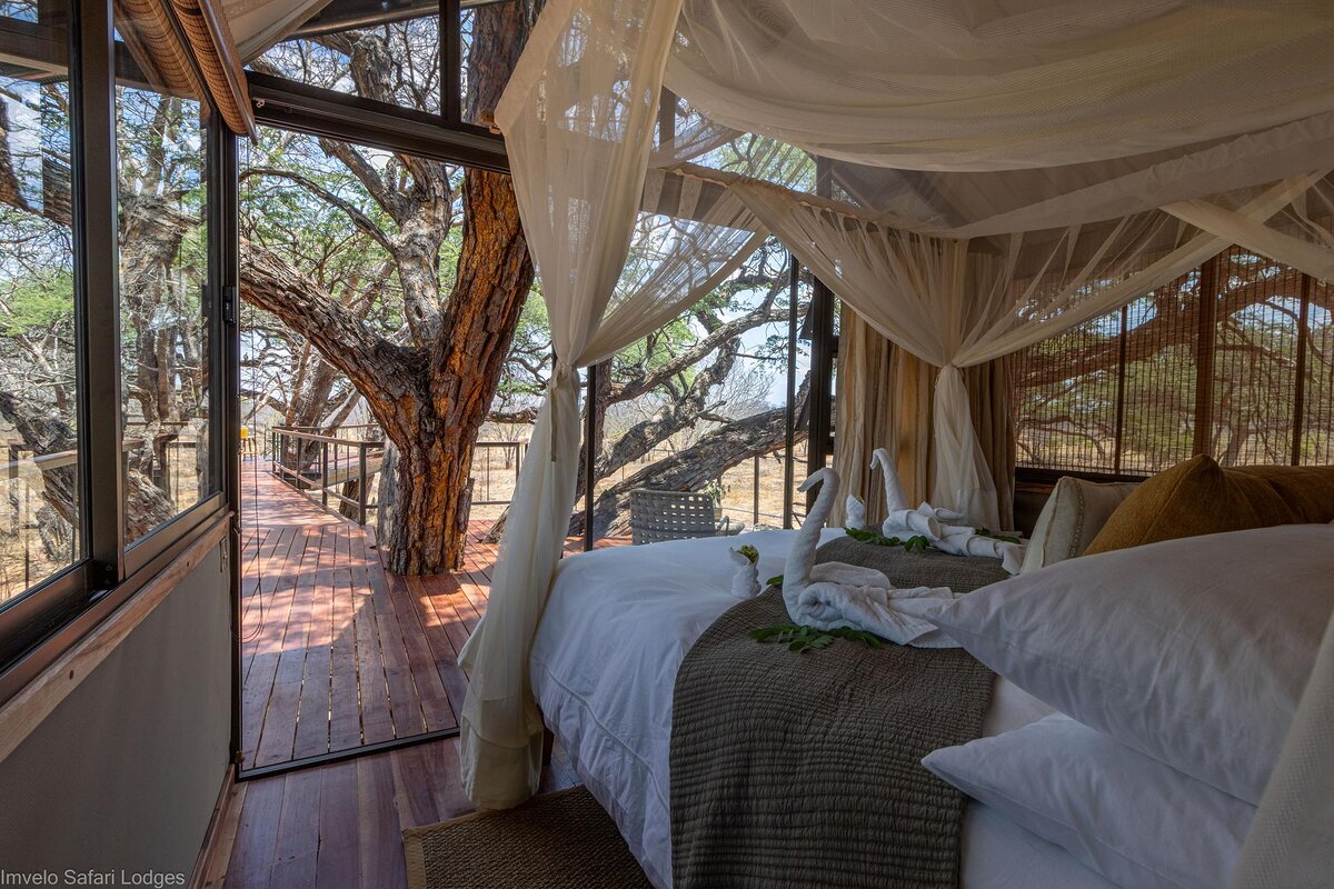 Cedarberg Travel | Tum Tum Treehouse Lodge