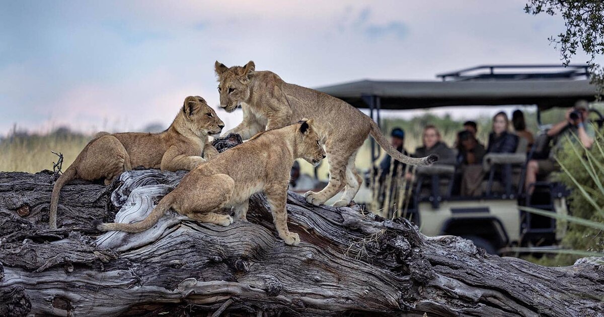 Cedarberg Travel | Tawana Camp