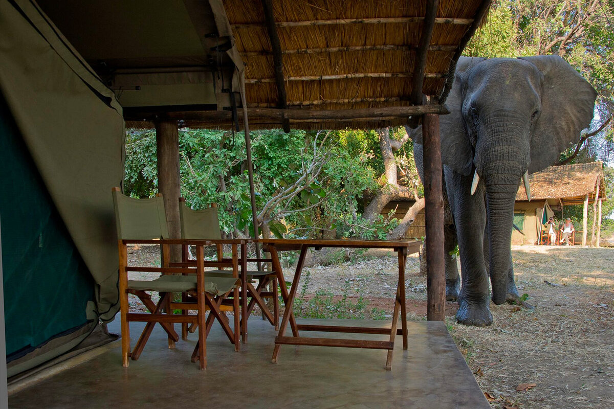 Cedarberg Travel | Flatdogs Camp, South Luangwa National Park Zambia