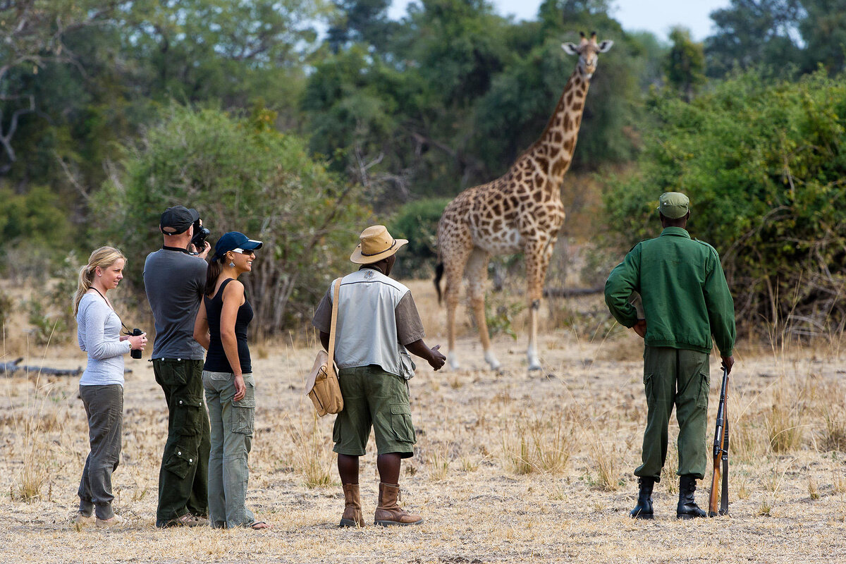 Cedarberg Travel | Flatdogs Camp, South Luangwa National Park Zambia