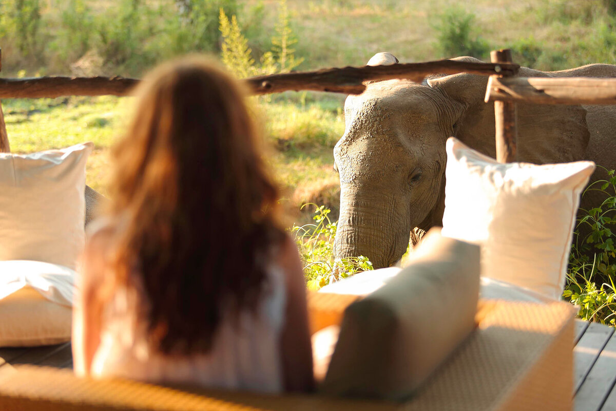 Cedarberg Travel | Flatdogs Camp, South Luangwa National Park Zambia