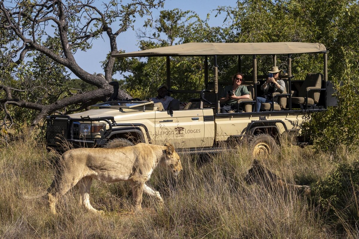 Cedarberg Travel | Noka Camp