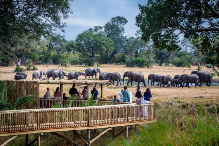 Photographic Safari - Cedarberg_Africa_Sabi Bush Lodge_Lounge