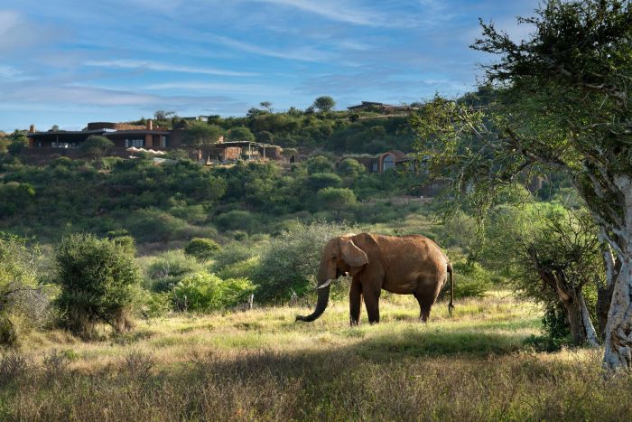 Cedarberg_Africa_Suyian-Lodge_Photographic Safari