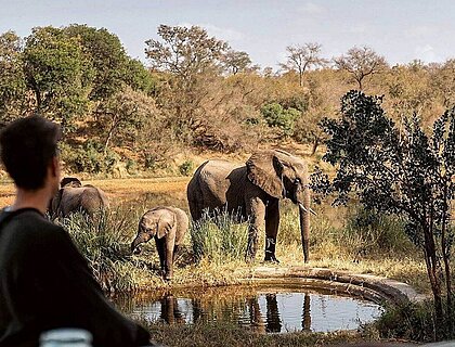Best Honeymoon Destinations in Africa - Simbavati River Lodge 